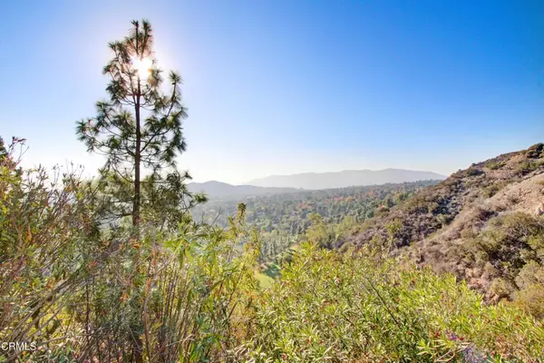 La Canada Flintridge, CA 91011,5379 Godbey Drive