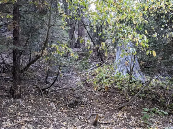 Lake Arrowhead, CA 92352,0 Fleming Creek