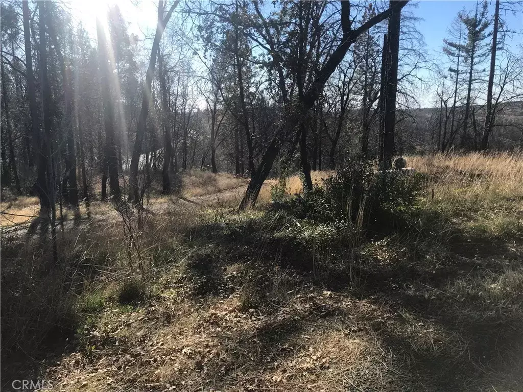 Berry Creek, CA 95916,0 Four M