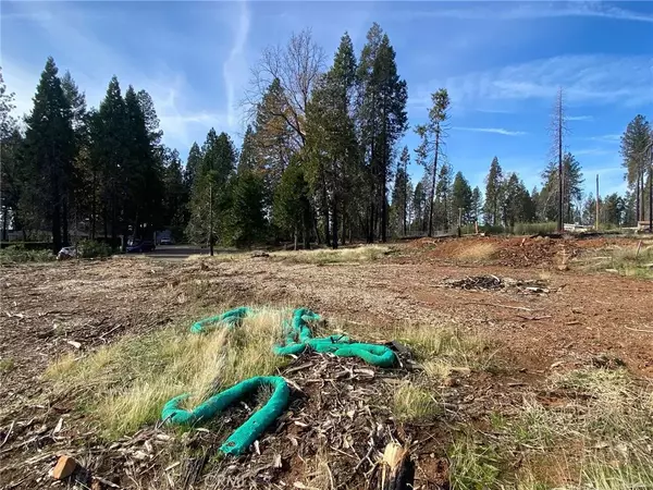 Magalia, CA 95954,13754 Napa