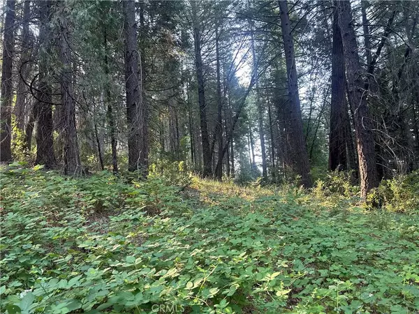 Magalia, CA 95954,6418 Hupp Coutolenc