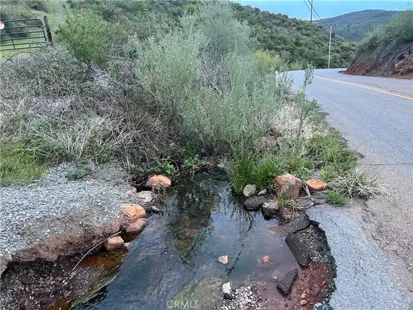 Oroville, CA 95965,12196 Concow