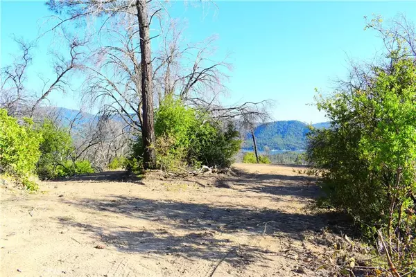 Feather Falls, CA 95940,0 Union Bar