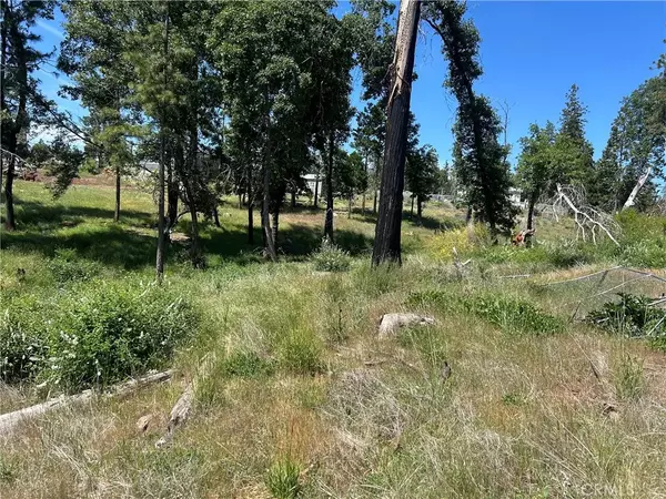 Magalia, CA 95954,13664 Fritz