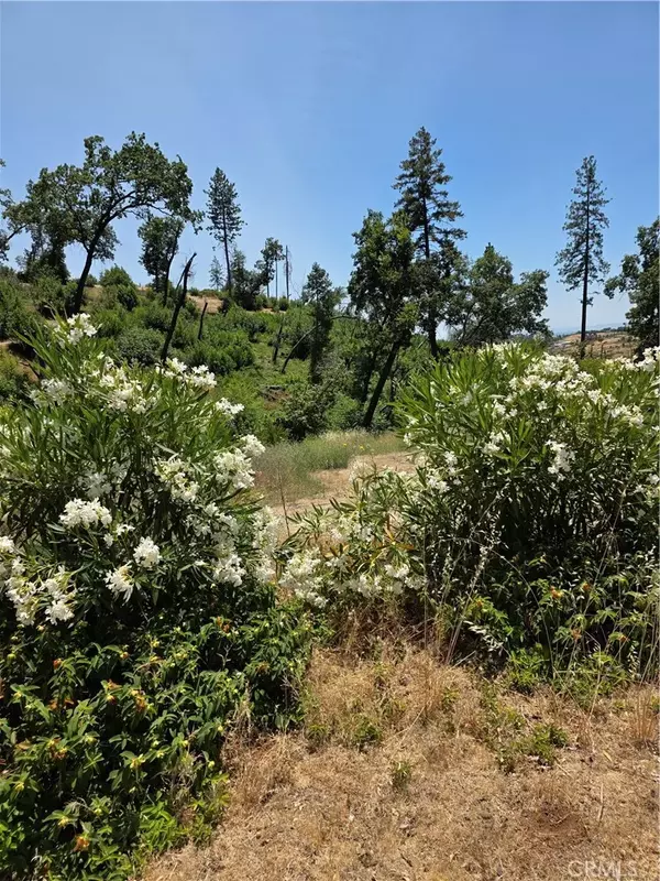 Paradise, CA 95969,1278 Storybook
