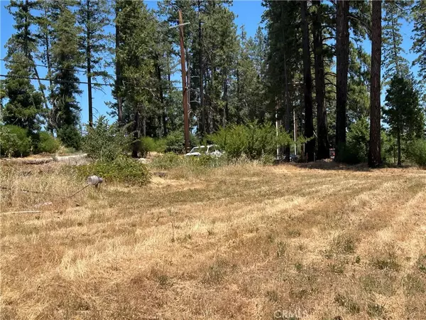 Paradise, CA 95969,9128 Skyway