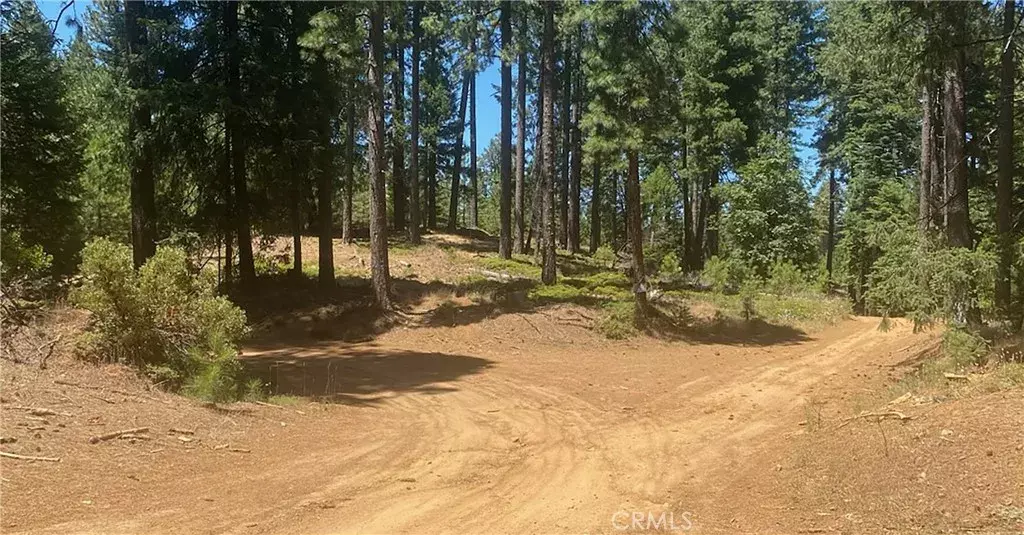 Nevada City, CA 95959,15052 Red Hill Spring