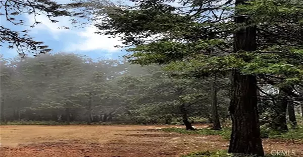 Nevada City, CA 95959,15052 Red Hill Spring