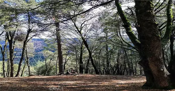 Nevada City, CA 95959,15052 Red Hill Spring