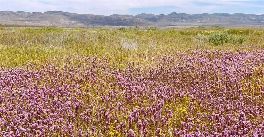 Santa Margarita, CA 93453,13721 Courtland