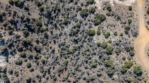 Tehachapi, CA 93561,11101 Halter