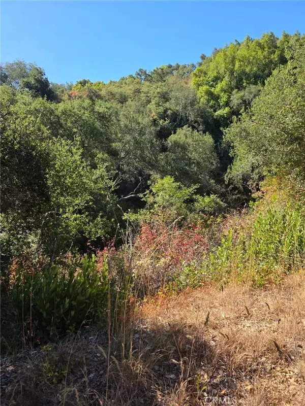 Atascadero, CA 93422,6205 Toro Creek