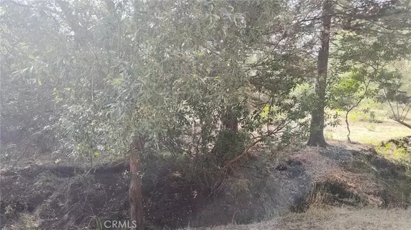 Cambria, CA 93428,3236 Gleason