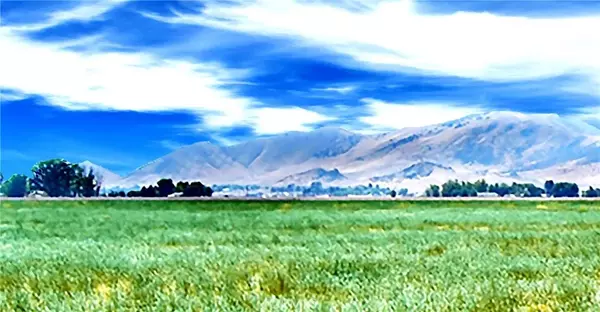 Santa Margarita, CA 93453,13790 Gallant