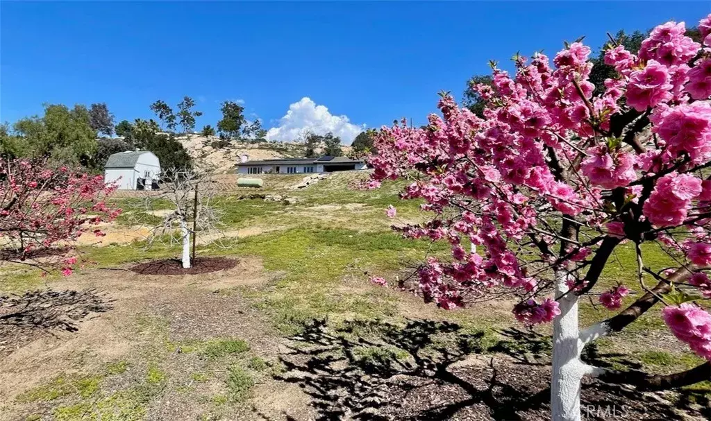 Valley Center, CA 92082,28195 Valley Center Road