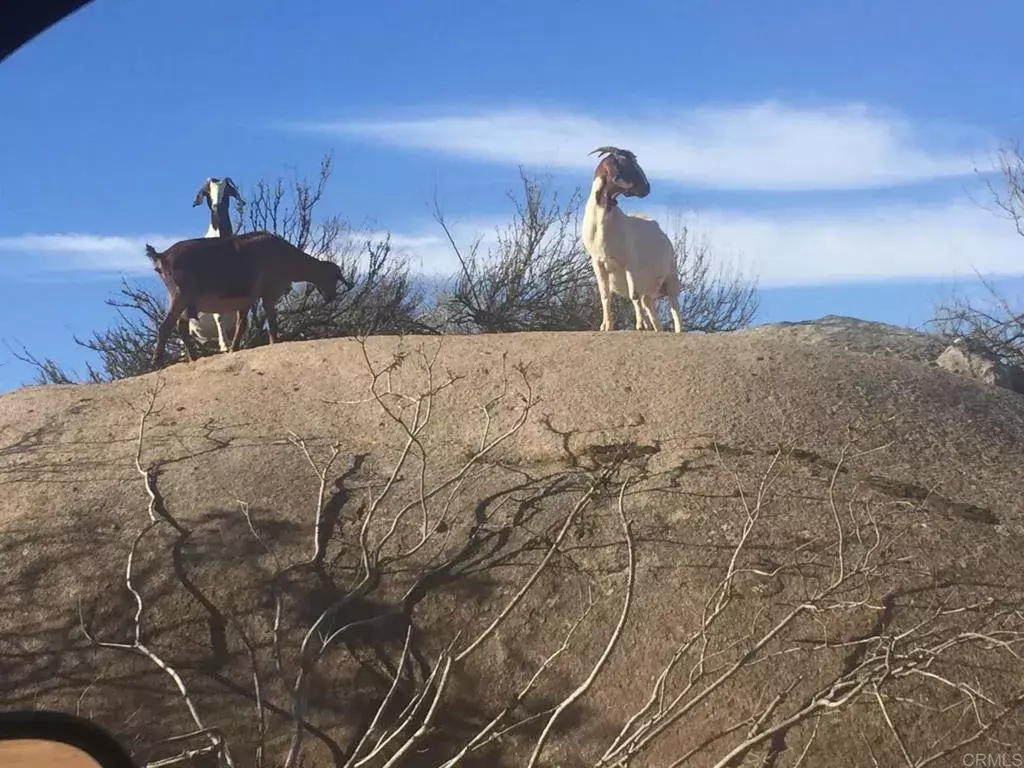 Dulzura, CA 91917,Highway 94