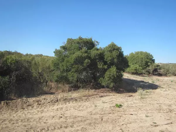 10 FORREST GATE RD, Campo, CA 91906