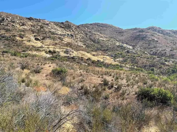 Bunny, Jamul, CA 91935