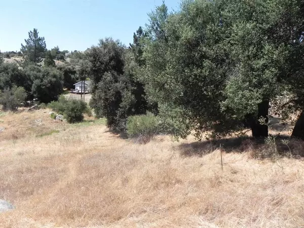 Descanso, CA 91916,0 Arrowhead