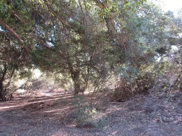 Campo, CA 91906,2115 N Campo Truck Trail