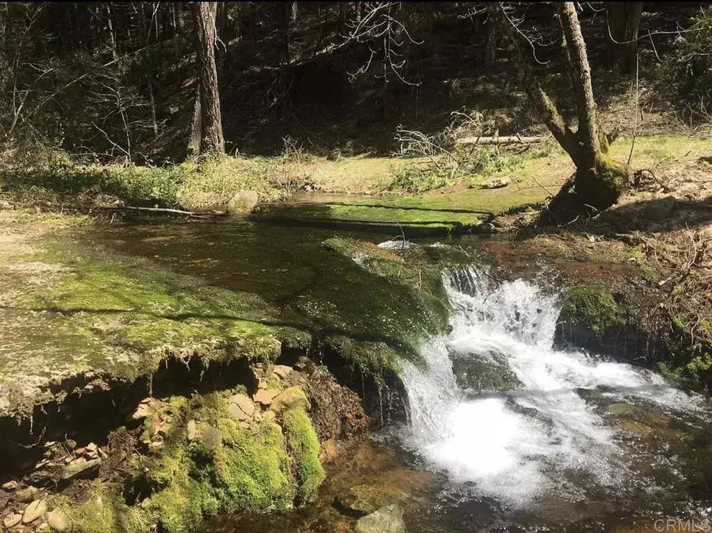 Pollock Pines, CA 95726,4952 Sierra Springs Drive