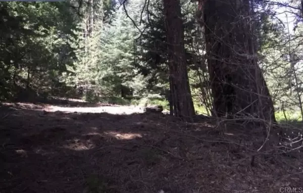 Cedar Glen, CA 92385,Stonehill