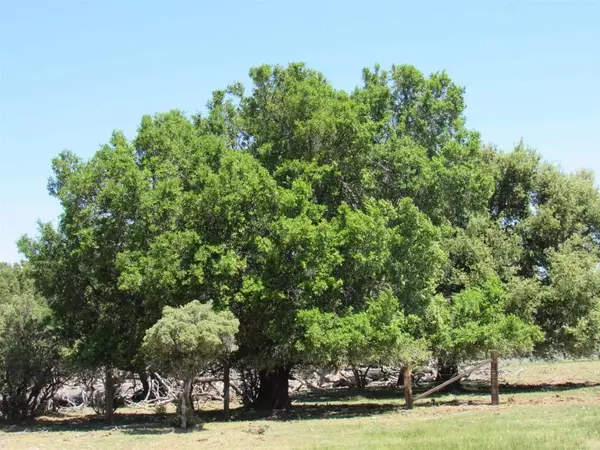 Boulevard, CA 91905,200 McCain Valley Rd