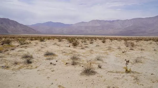 Borrego Springs, CA 92004,0 Borrego Salton Sea