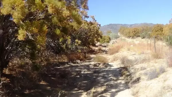 Anza, CA 92539,37245 Old Forest