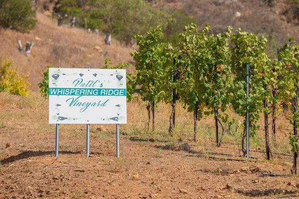 Temecula, CA 92590,1 Via Horca