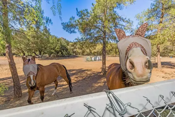 22544 Tombill Road, Ramona, CA 92065