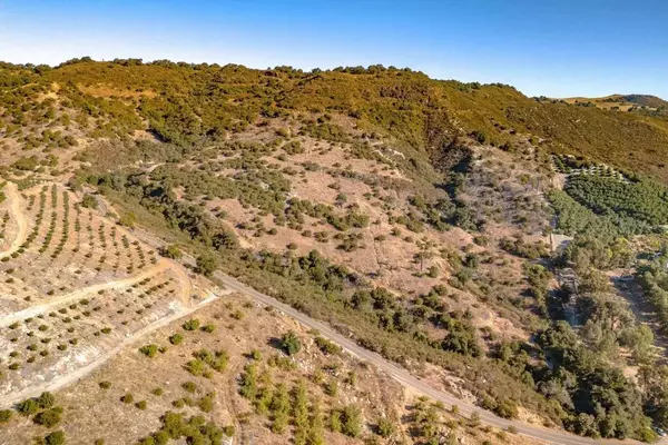Temecula, CA 92590,28 El Calamar