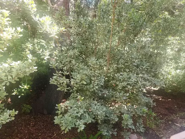 2926 Alwood Court, Spring Valley, CA 91978