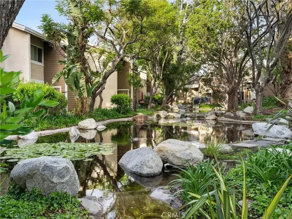 Irvine, CA 92620,250 Pineview