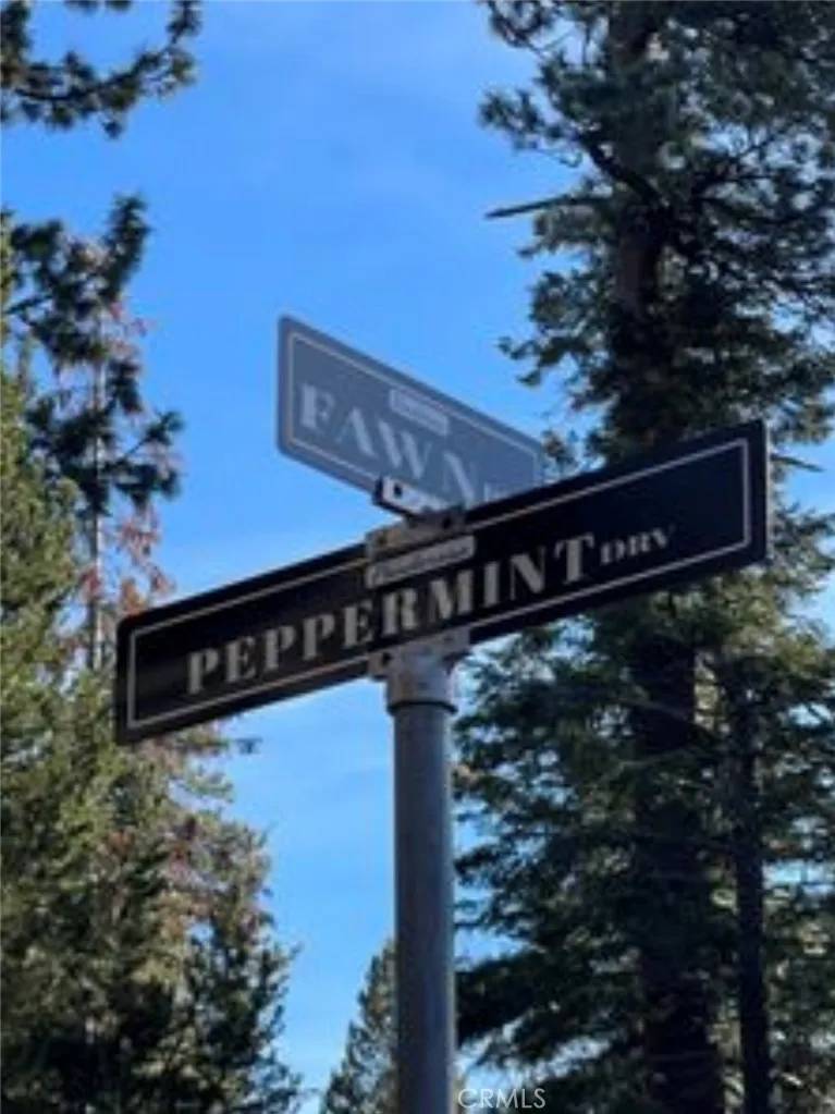 Springville, CA 93265,57793 Fawn