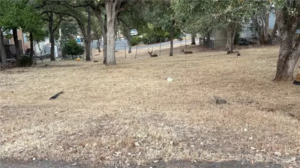 Oroville, CA 95966,34 Coho