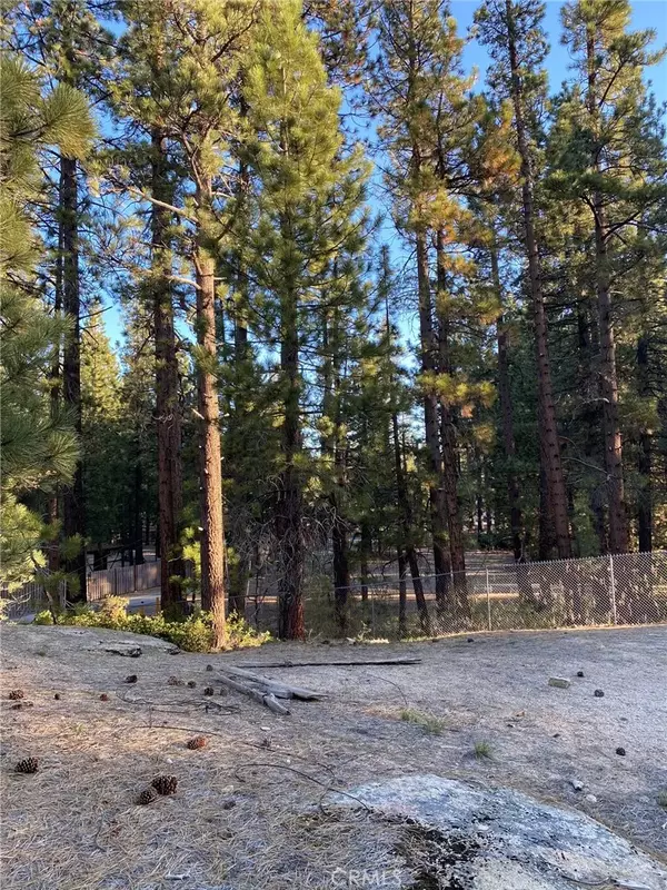Big Bear, CA 92315,0 Cienega Road
