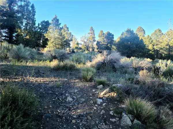 0 Pelican, Big Bear City, CA 92314