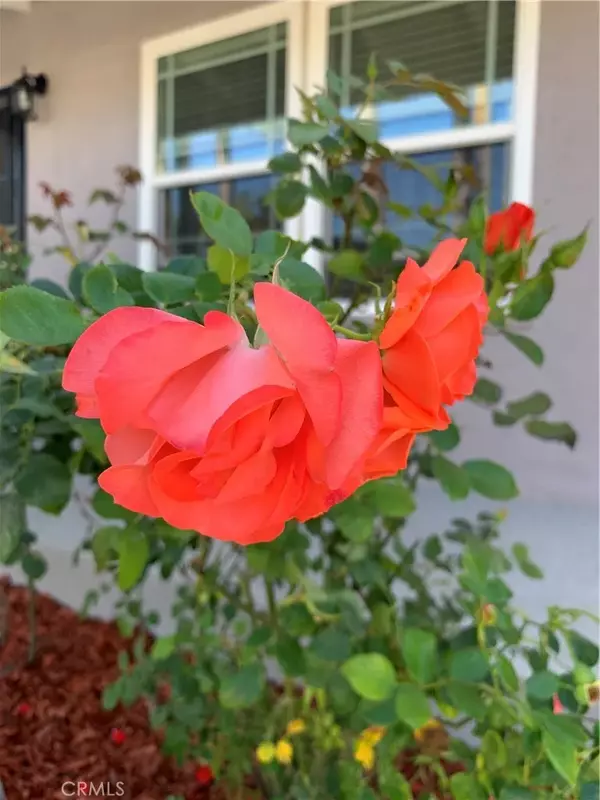 Santa Ana, CA 92707,2050 S Van Ness Avenue