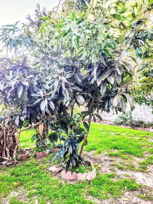 Hawthorne, CA 90250,14213 Washington Avenue