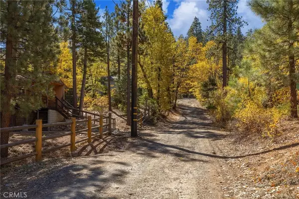 Big Bear Lake, CA 92315,0 Ford