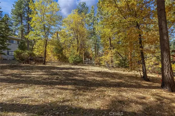 Big Bear Lake, CA 92315,0 Ford