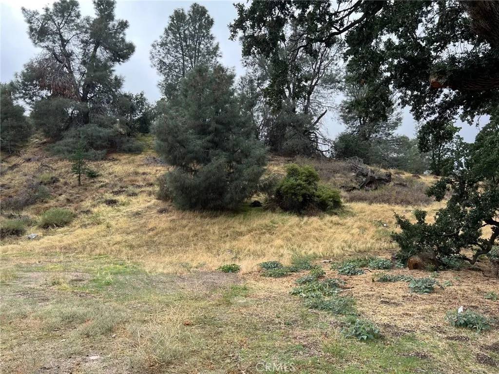 47751 Old Ridge,  Gorman,  CA 93536