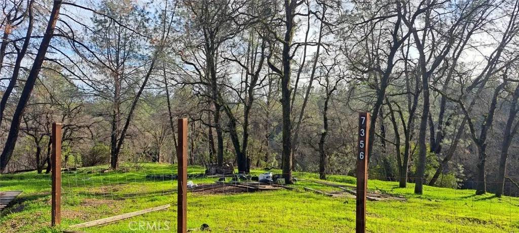 7356 Knoll, Corning, CA 96021