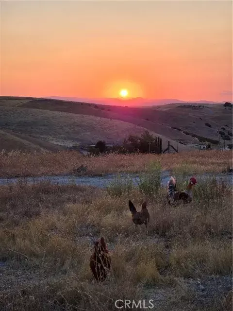 Paso Robles, CA 93446,0 Yosemite