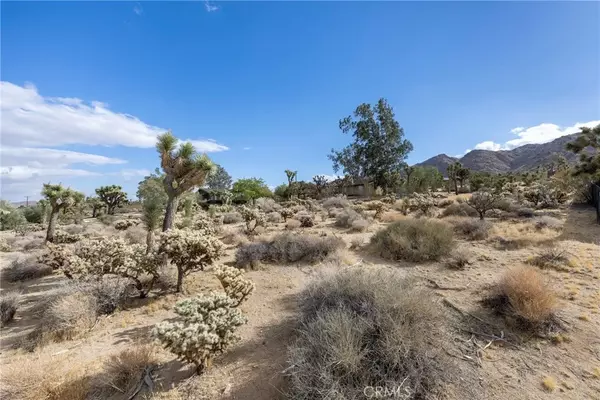 Joshua Tree, CA 92252,60383 Melton Trail