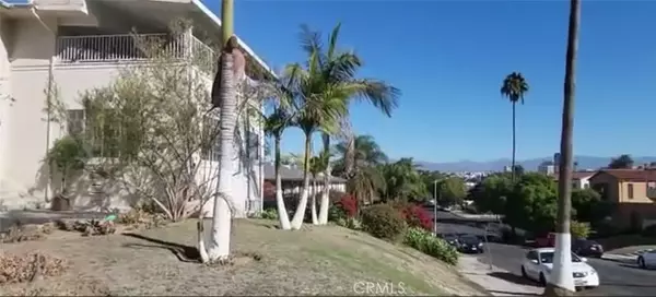 Los Angeles, CA 90019,1121 5th Avenue