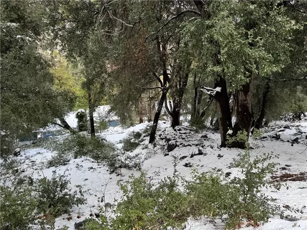 Forest Falls, CA 92339,39480 Prospect