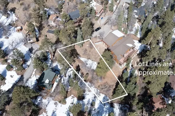 Big Bear Lake, CA 92315,0 Pigeon