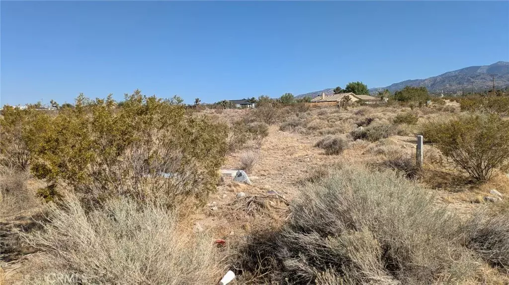 0 del rosa, Pinon Hills, CA 92372